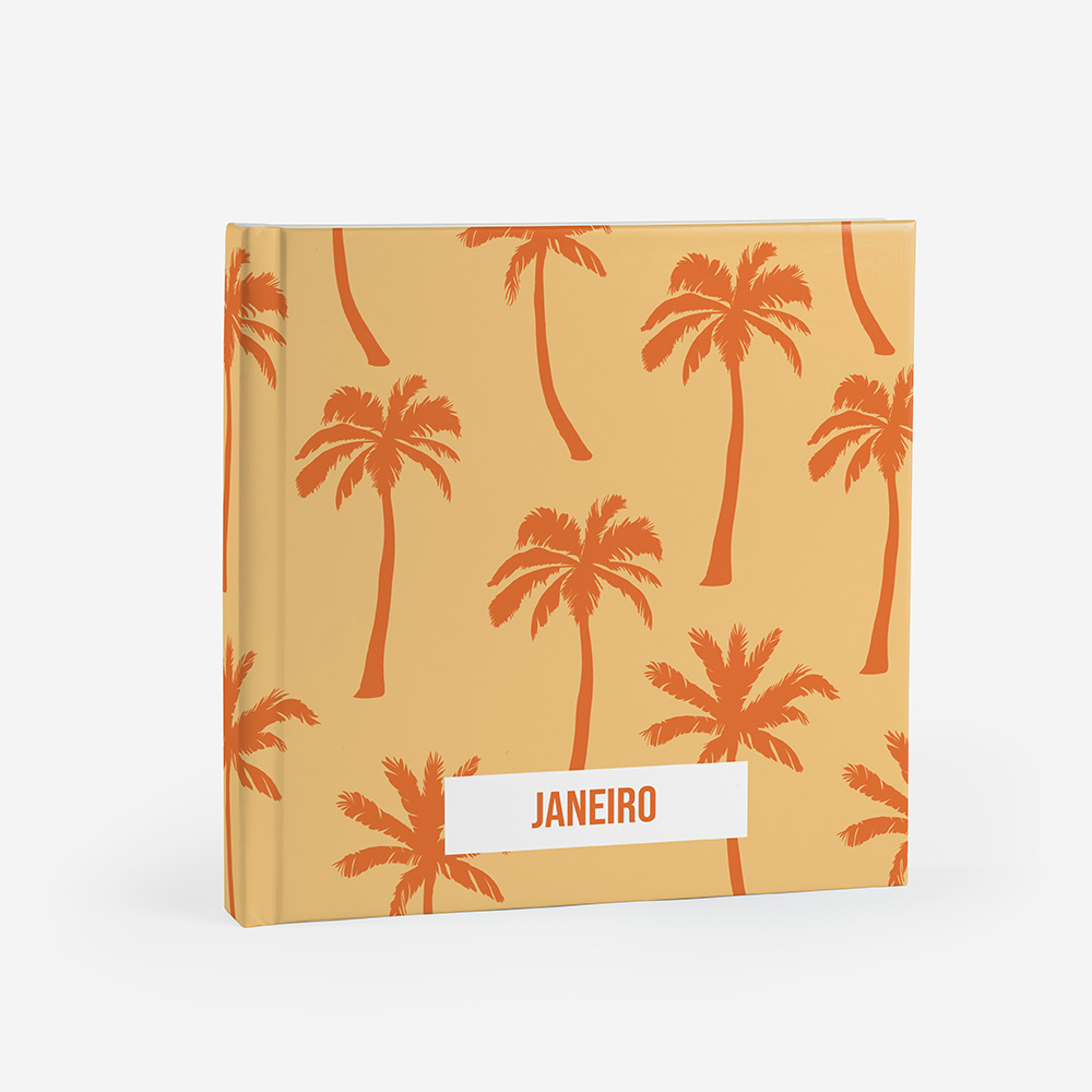 Álbum Janeiro 3