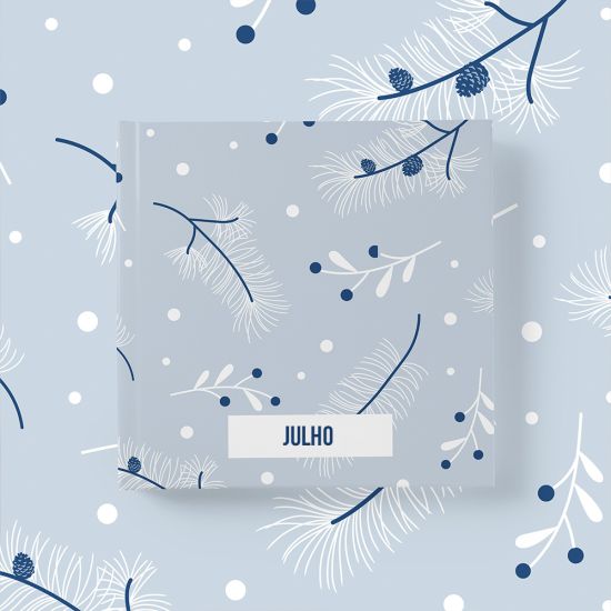 Álbum Julho 2